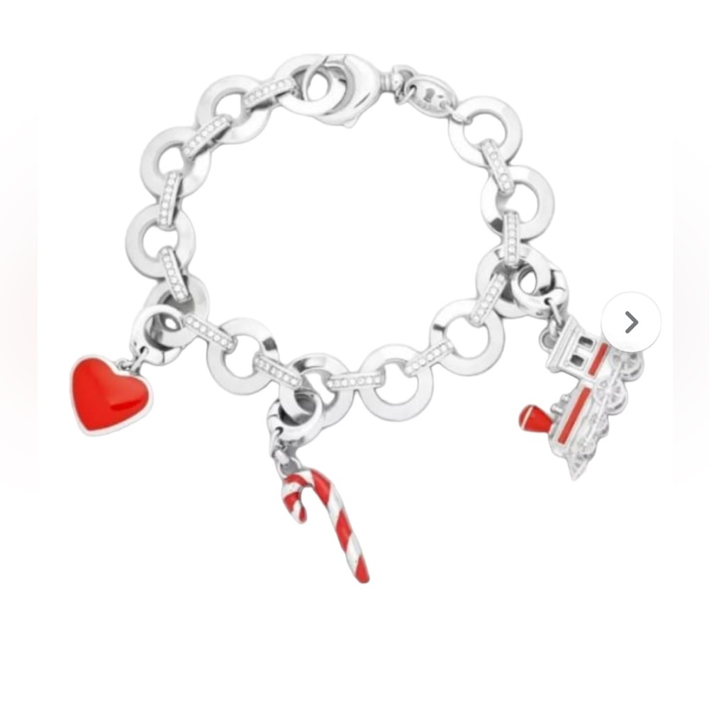 Fossil Sliver Tone Stainless Steel Christmas Charm Bracelet and Charms
